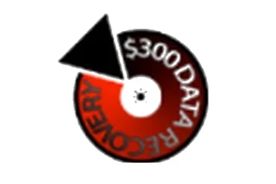 $300 Data Recovery logo