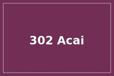302 Açaí logo
