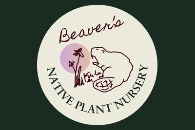 Beavers Abundance Native Plant Nursery logo