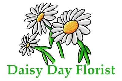 Daisy Day Florist logo