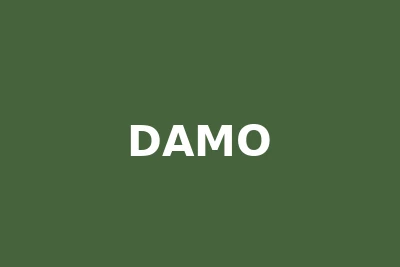 DAMO logo