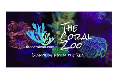 The Coral Zoo logo