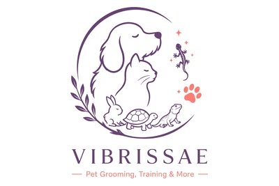 Vibrissae logo